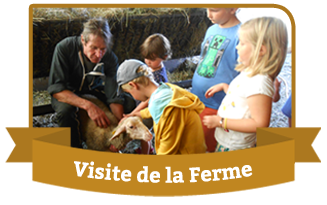 Bouton Visite